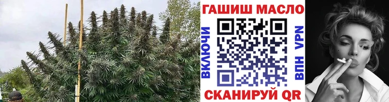ТГК гашишное масло Амурск