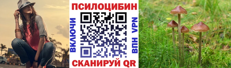Псилоцибиновые грибы MAGIC MUSHROOMS  закладка  Амурск 