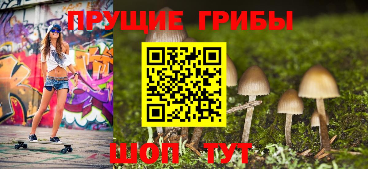 Галлюциногенные грибы прущие грибы Амурск