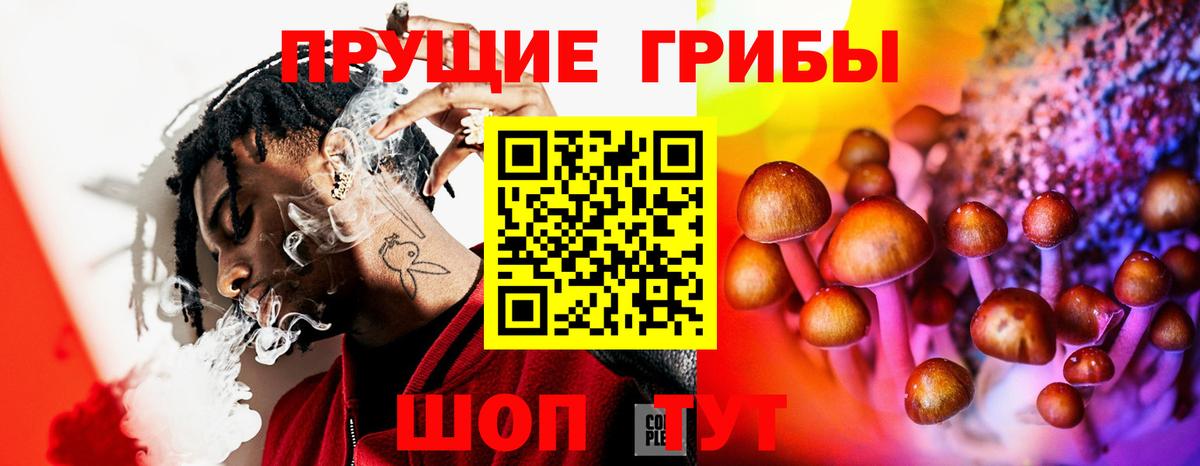 Псилоцибиновые грибы Cubensis  Вход с VPN  наркотики  Галлюциногенные грибы GOLDEN TEACHER  Амурск 